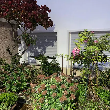 Moderne Souterrain-Oase In Top-Lage Bad Hersfeld Exterior foto